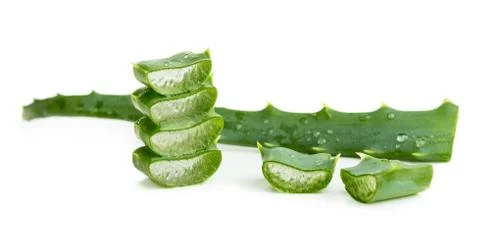 Aloe vera Stock Photos