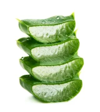 Aloe vera Stock Photos