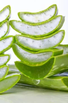 Aloe vera Stock Photos