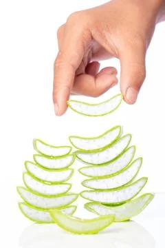 Aloe vera Stock Photos
