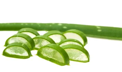 Aloe vera Foto stock