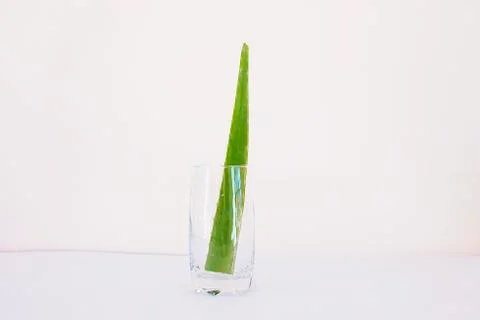 Aloe vera Stock Photos