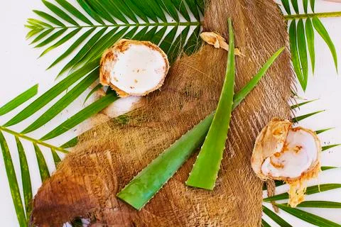 Aloe vera Stock Photos