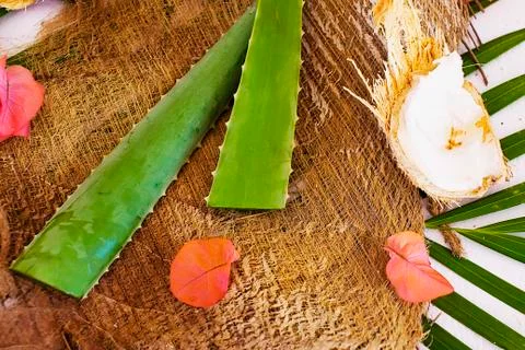 Aloe vera Stock Photos