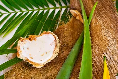 Aloe vera Stock Photos