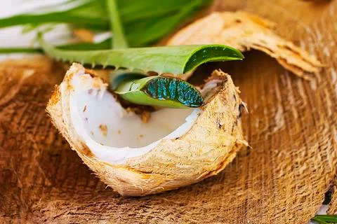 Aloe vera Stock Photos