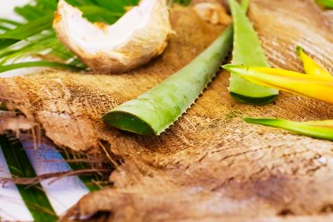 Aloe vera Stock Photos