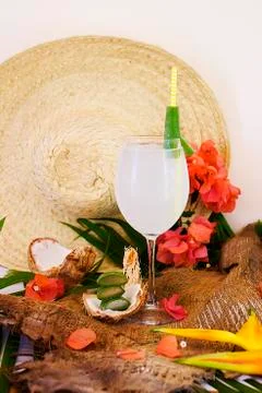 Aloe vera Stock Photos