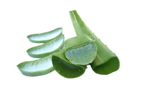 Aloe vera Stock Photos