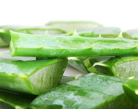 Aloe vera Stock Photos