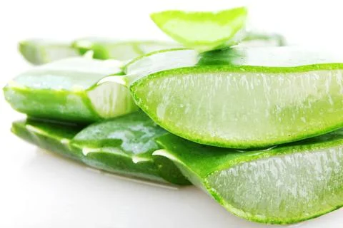 Aloe vera Stock Photos