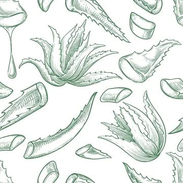 Aloe vera plant seamless pattern. Hand drawn sketch vector illustration. Natu Stock Illustration