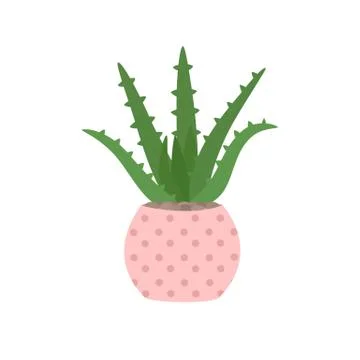 Aloe Vera in a pot Stock Illustration