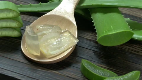 Aloe Vera Rotating on a table Stock Footage 248798920