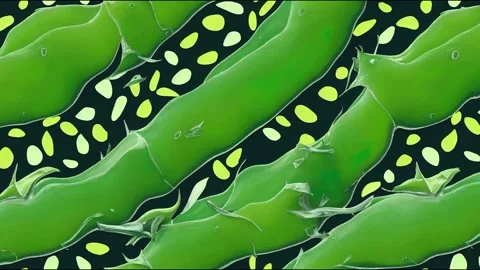 Aloe vera seamless animation on green background. Video stock 220121177