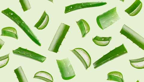 Aloe vera seamless pattern on green background. Stock Photos