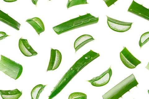 Aloe vera seamless pattern on white background. Stock Photos