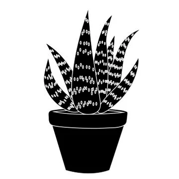 Aloe vera simple. Isolated vector illustration Stock Illustration