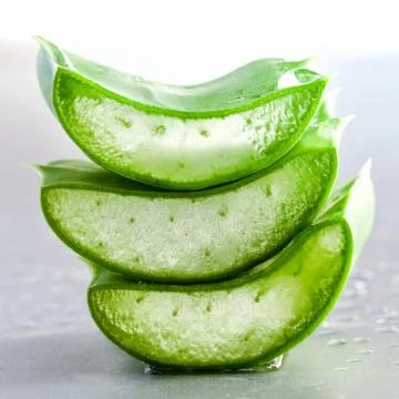 Aloe Vera slice natural spas ingredients for skin care isolated on a white ba Stock-Fotos