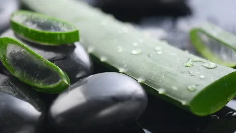 Aloe Vera slices and leaf closeup. Aloevera plant leaf gel, renewal cosmetics Stock Footage 164044802