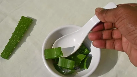 Aloe vera slices. Vidéo 267189793