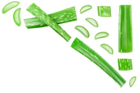 Aloe vera with slices isolated on white background with copy space for your text Stock Photos