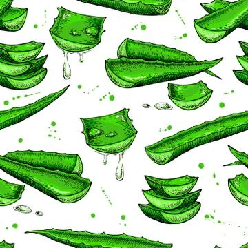 Aloe vera vector seamless pattern. Hand drawn artistic background. Natural .. Stock Illustration