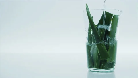 Aloe Vera in the Water. Stock Footage 153744928