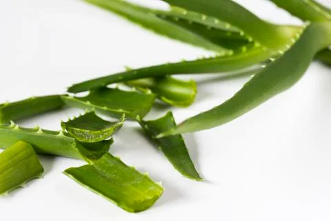 Aloe vera on a white background Foto stock