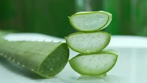 Aloe vera2 Stock Footage 139747585