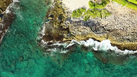 Aloha Films - Aerial Top Down Beautiful Tropical Coastline - T01 4K 30p Stock Footage