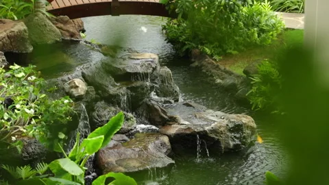Aloha Films - Pan up to Small Bridge over Pond Slo Mo Canon 1DX II 1080p 24p Stock Footage 146818192