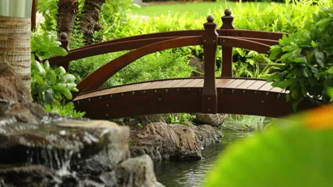 Aloha Films - Small Bridge over Pond Slo Mo - 02 Canon 1DX II 1080p 24p Stock Footage 146817998