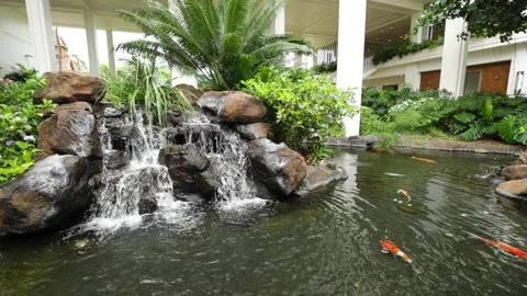 Aloha Films - Small Waterfall Koi Pond With Surrounding Garden Slo Mo - 02 C Stock Footage 146340984