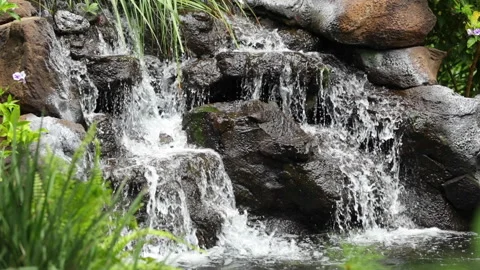 Aloha Films - Small Waterfall With Surrounding Foliage Canon 1DX II 1080p 30 Stock Footage 146341854