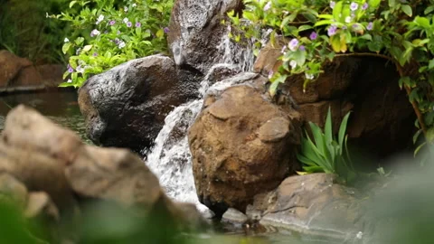 Aloha Films - Small Waterfall With Surrounding Flowers - Focus Pulls Canon 1 Stock Footage 146341971