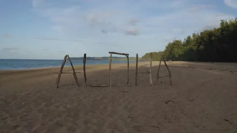 Aloha 動画素材 194968990