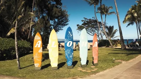 Aloha Sign Stock Footage 243875997