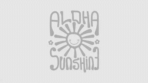 Aloha sunshine loop on alpha channel transparent background Stock Footage 344691125