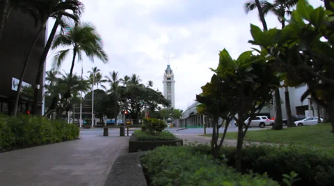 Aloha Tower Wide 1 스톡 동영상 31984679