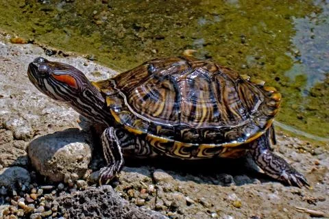 Alone 2 Stock Photos