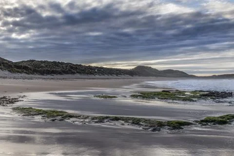 Alone on the beach Fotos Stock
