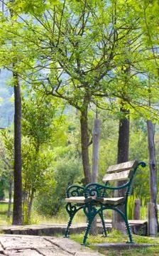 Alone bench in summer park Stock Photos