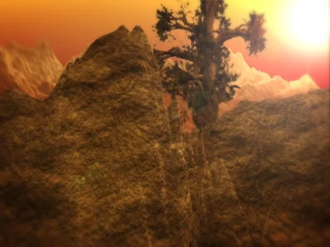 Alone Big Tree Stock Footage 660167