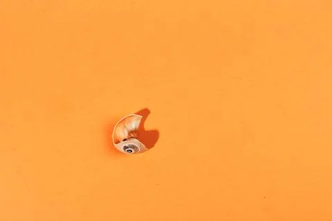 Alone Broken shell on blue background Stock Photos