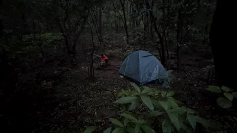 Alone camping in the forest night view and cooking food Stock Footage 285930240