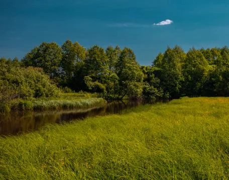 Alone cloud under the forest river Stock Photos
