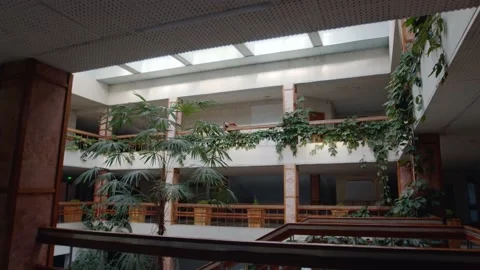 Alone Dancer In Big Hall Stock Footage 170511822