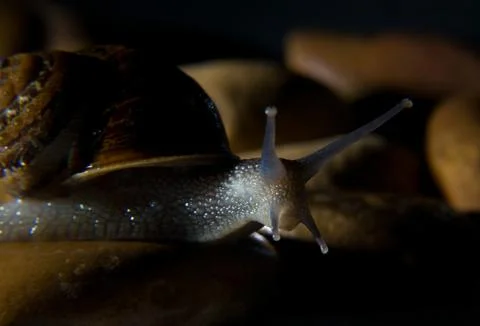 Alone in the dark Stock Photos