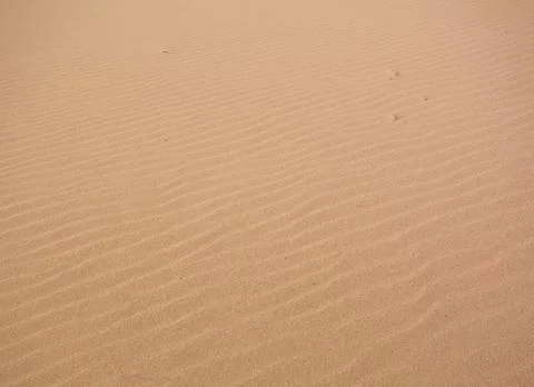 Alone in the desert Stock Photos